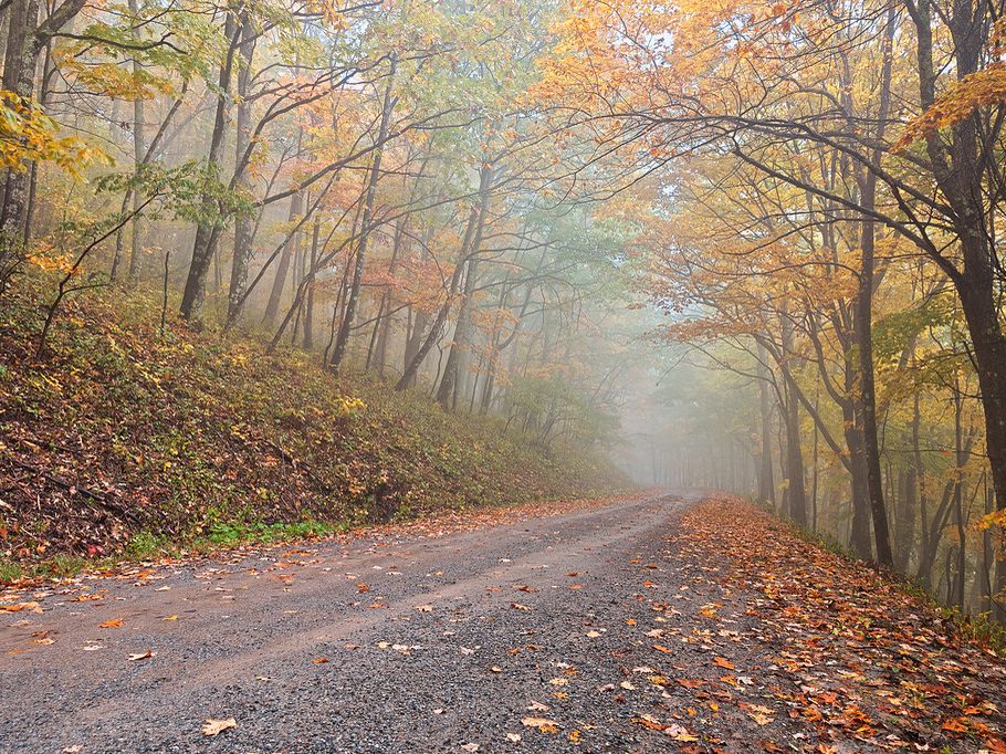 Calculer son chemin de vie